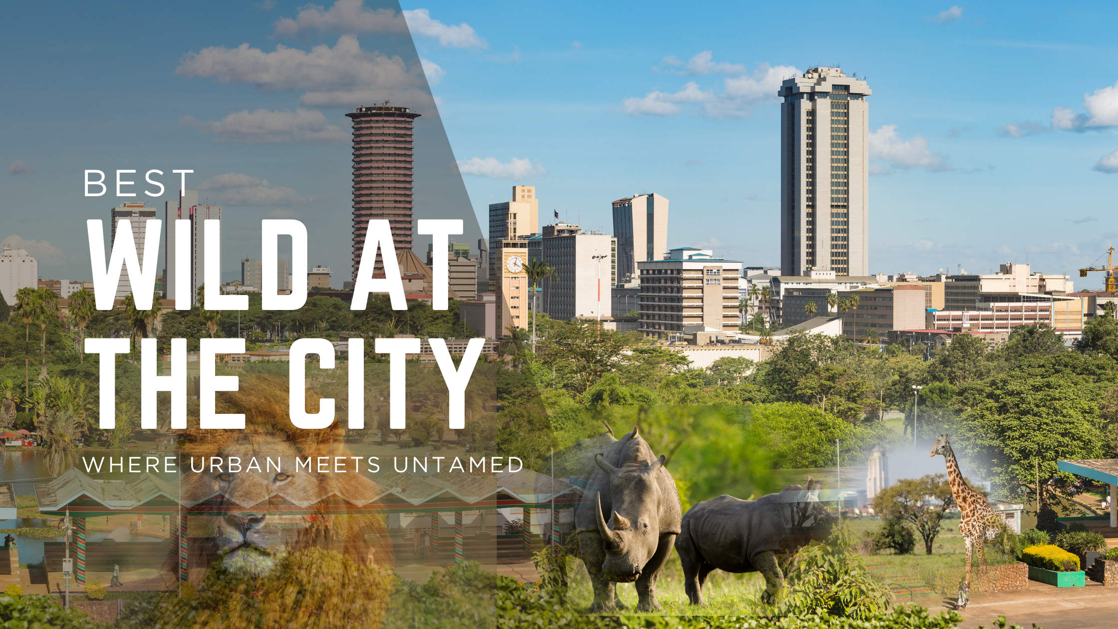 Nairobi National Park: Where Wilderness Meets the City Skyline